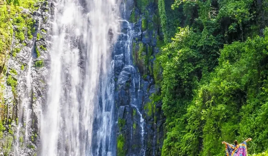 Marangu Hike and Tour Materuni Waterfalls